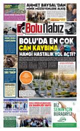 BOLU NABIZ