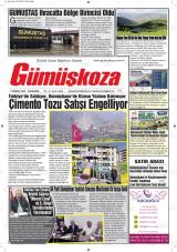 GÜMÜŞKOZA