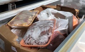 Zabıta, halk sağlığını hiçe sayan kasap işletmesini mühürledi