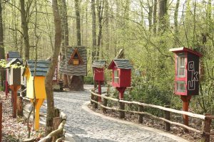 Orman Kütüphanesi’nde okuma keyfi bambaşka